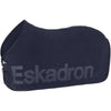 Eskadron Coperta in Pile Dynamics Navy