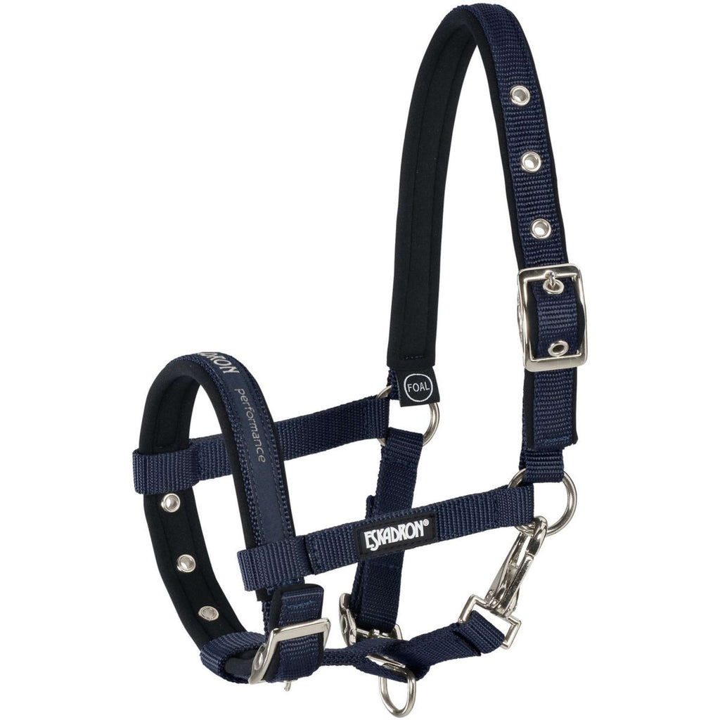 Eskadron Cavezza per puledro Nightblue