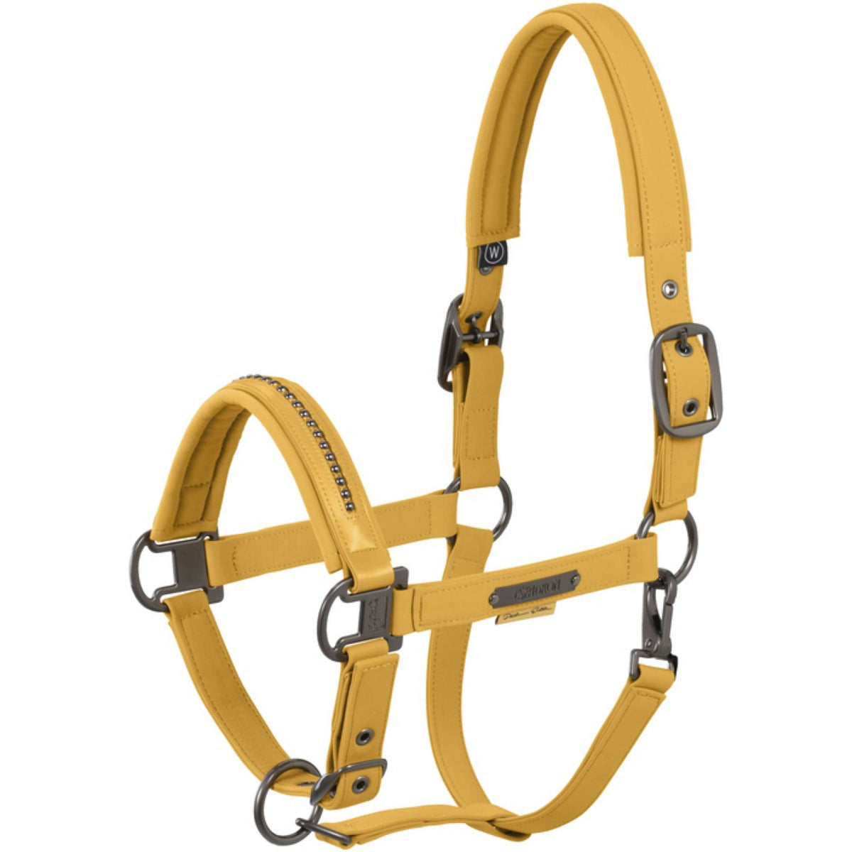 Eskadron Capezzina Softshell Pearls Platinum '25 Golden Yellow