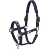 Eskadron Cavezza Dynamics Double Pin Navy