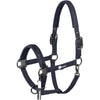 Eskadron Cavezza Dynamics Jewel Double Pin Navy