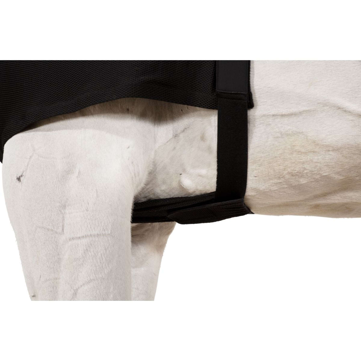 Eskadron Protettore Torace DynAirMesh Nero