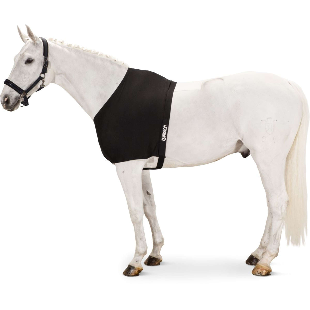 Eskadron Protettore Torace DynAirMesh Nero