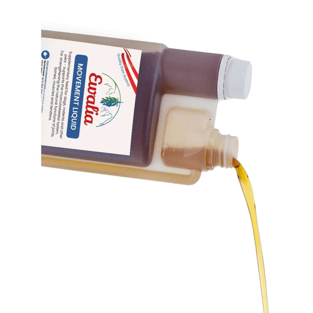 Ewalia Movimento Liquido Cane