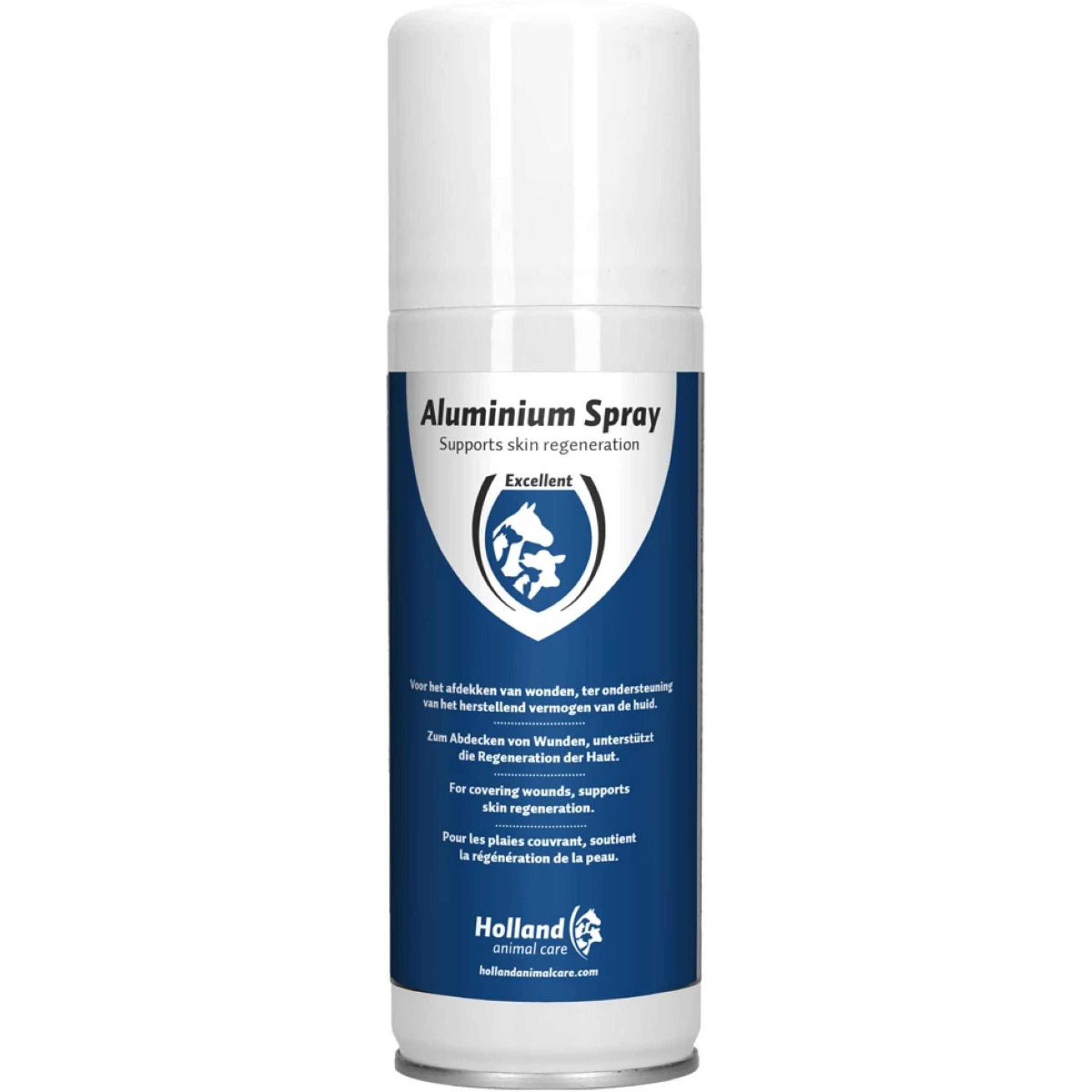 Excellent Spray alluminio Excellent Spray alluminio