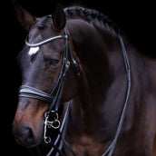 Imperial Riding Briglia Doppia IRHFria Nero