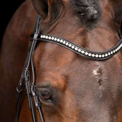 Imperial Riding Briglia IRHAthena Nero