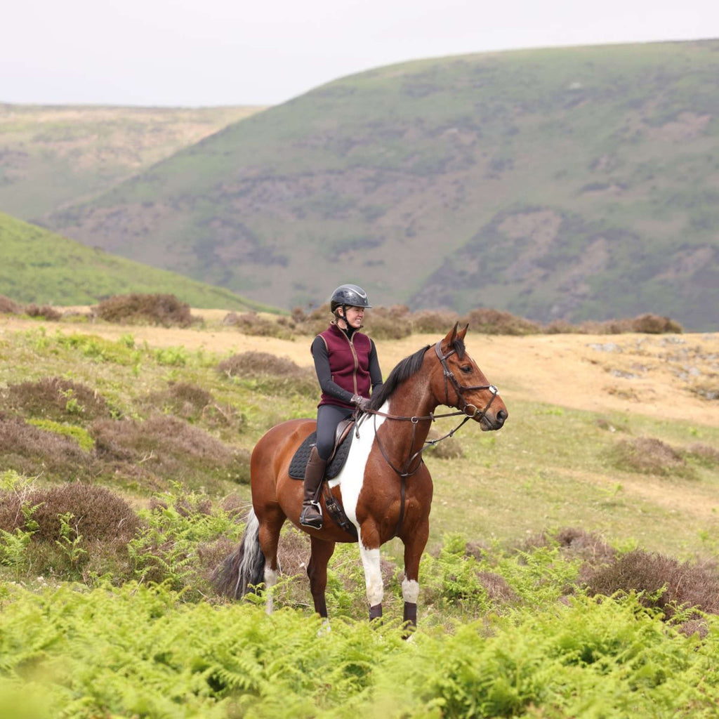 Aubrion by Shires Gilet Original Fleece Maroon