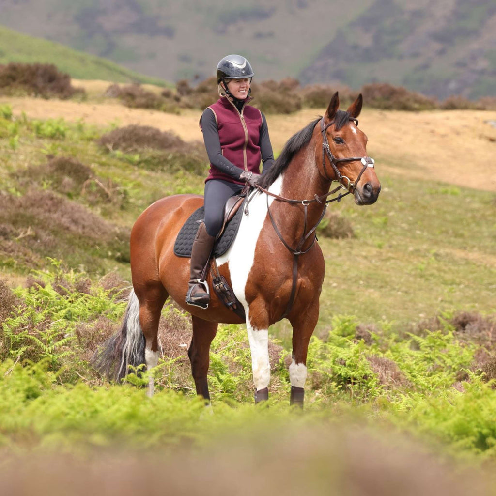 Aubrion by Shires Gilet Original Fleece Maroon