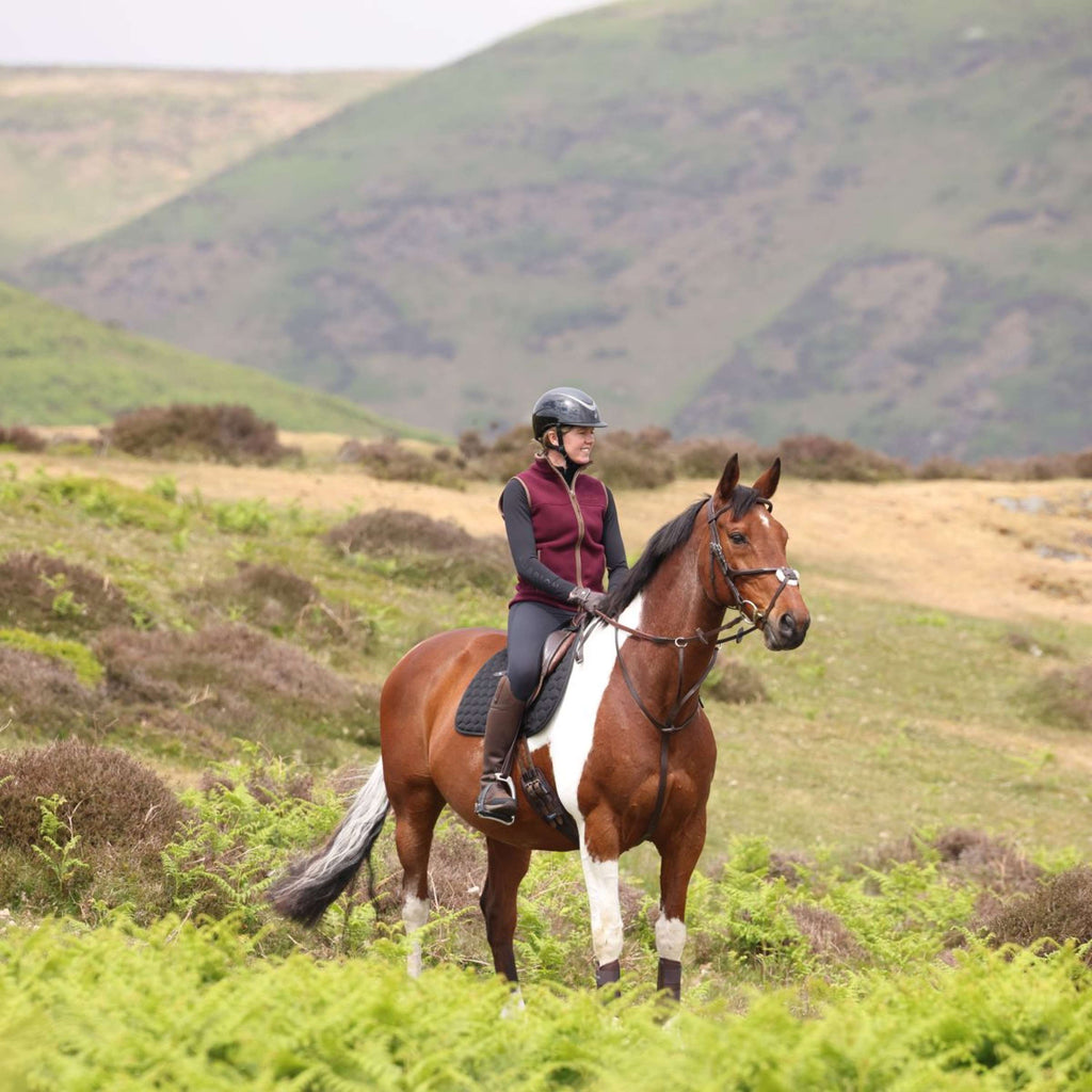 Aubrion by Shires Gilet Original Fleece Maroon