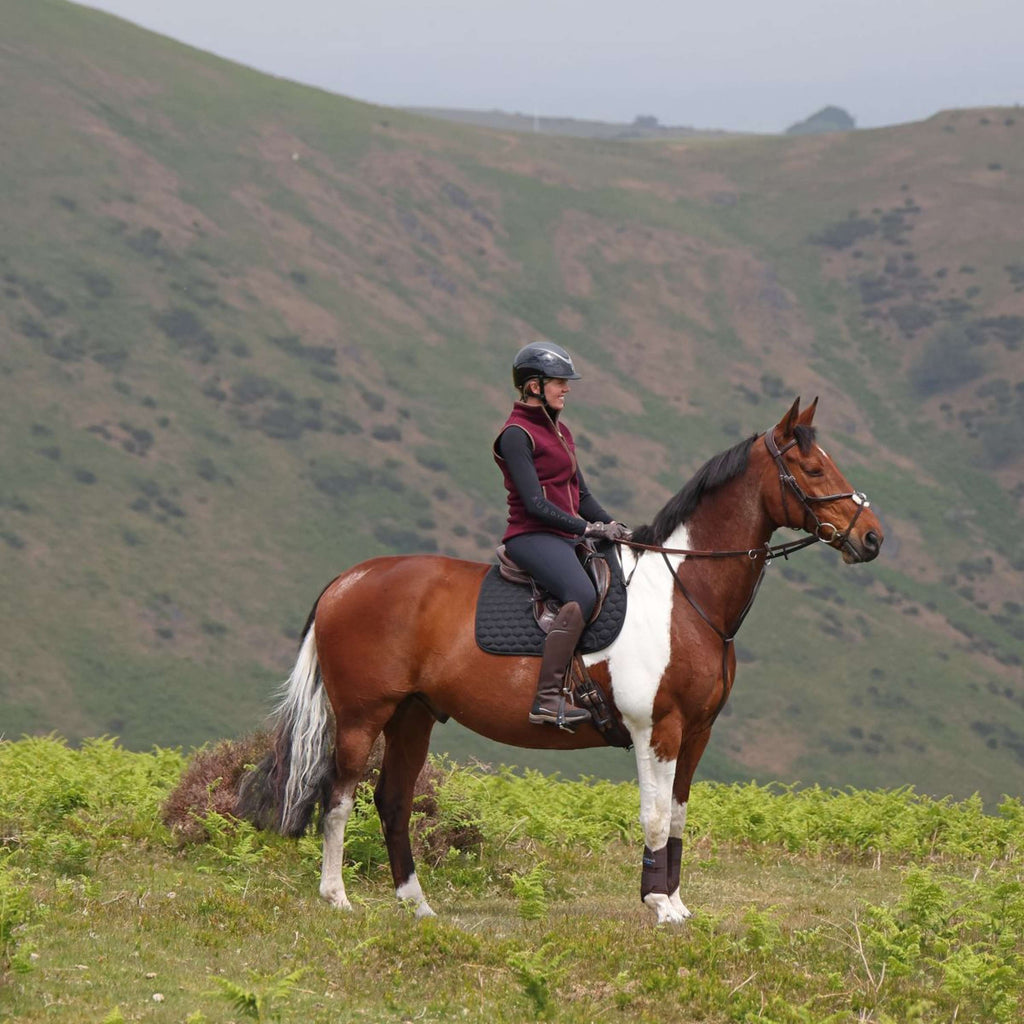 Aubrion by Shires Gilet Original Fleece Maroon