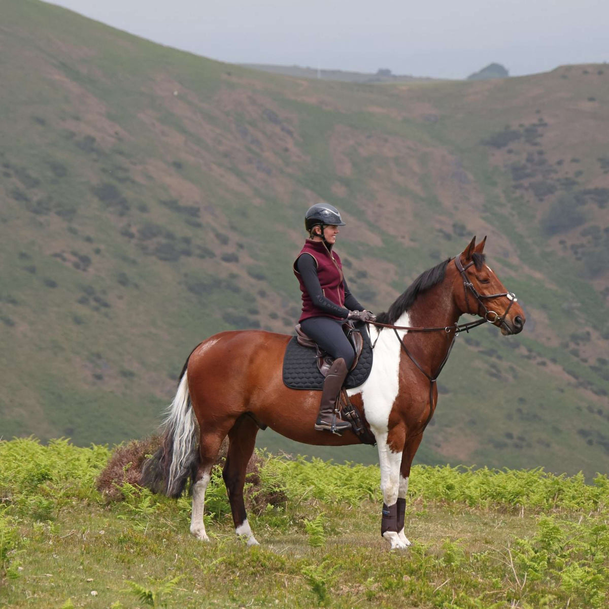 Aubrion by Shires Gilet Original Fleece Maroon