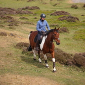 Aubrion by Shires Maglione Original Fleece Blu
