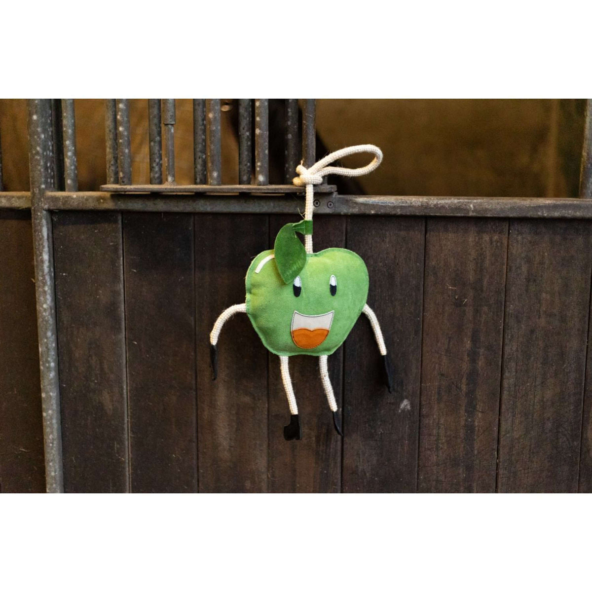 Excellent Horse Foodie Friends Mela