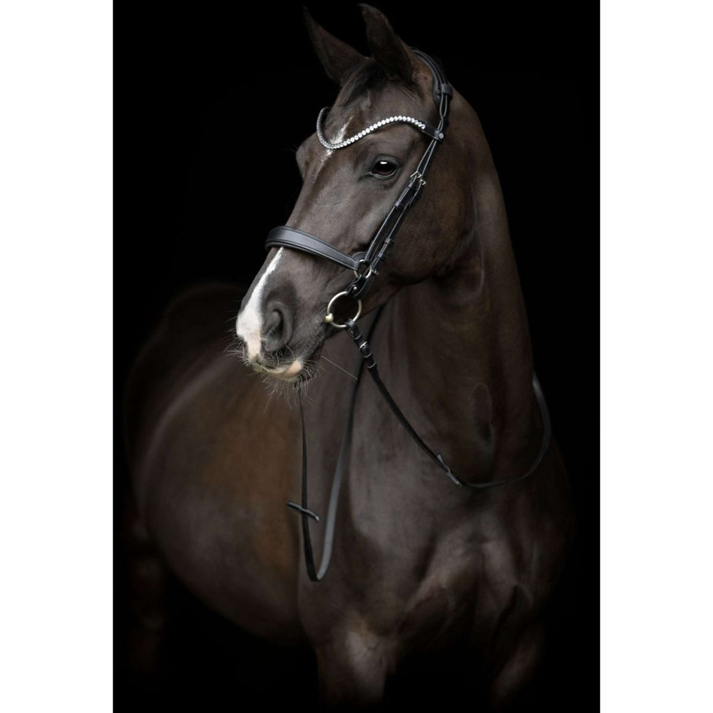 Catago Capezzina Gentle