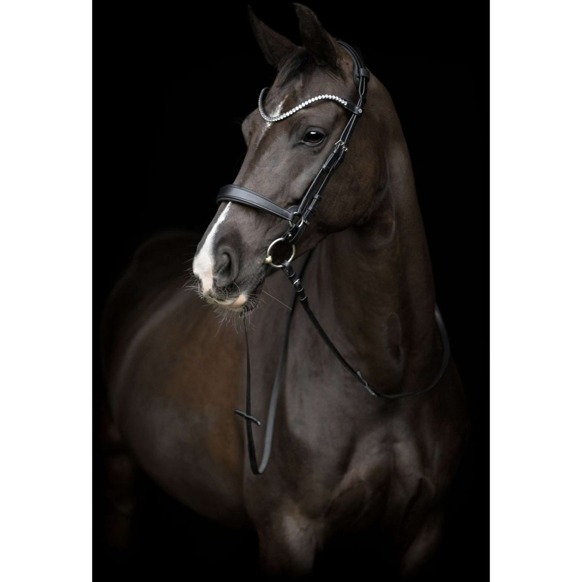 Catago Capezzina Gentle