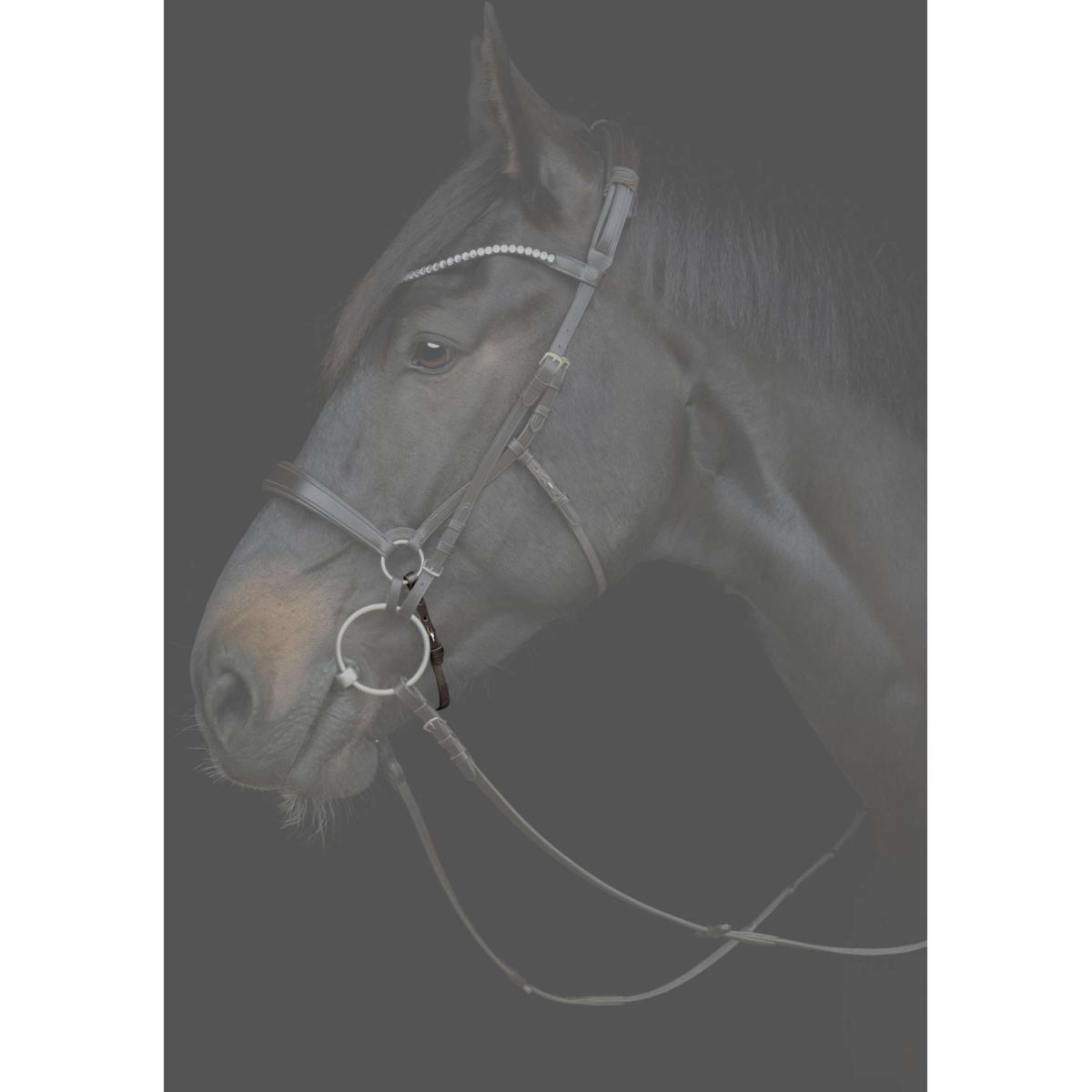 Catago Cinghia per Mento Gentle