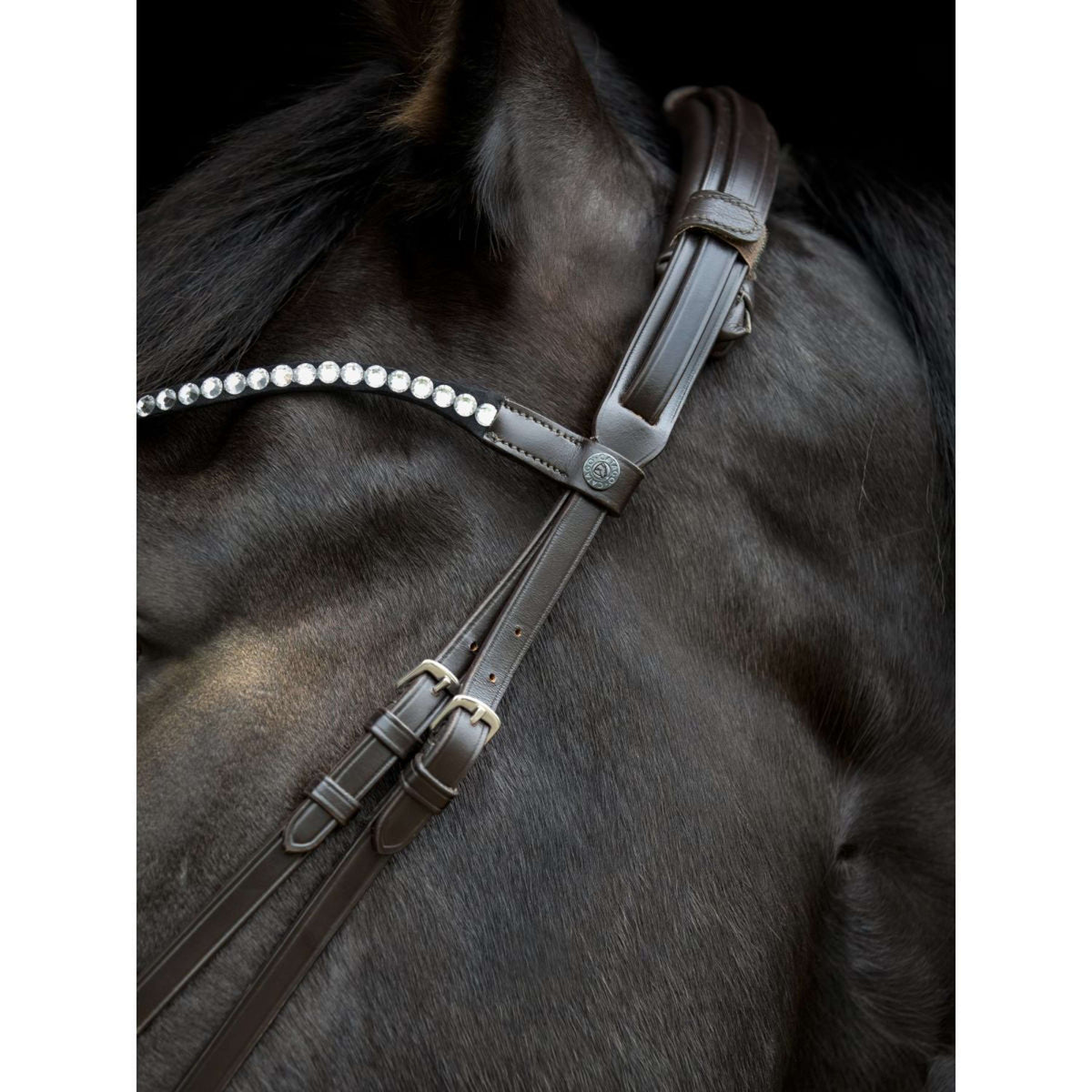 Catago Pezzo di Testa Gentle