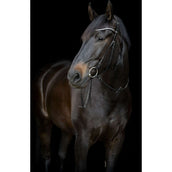Catago Pezzi Guancia Gentle
