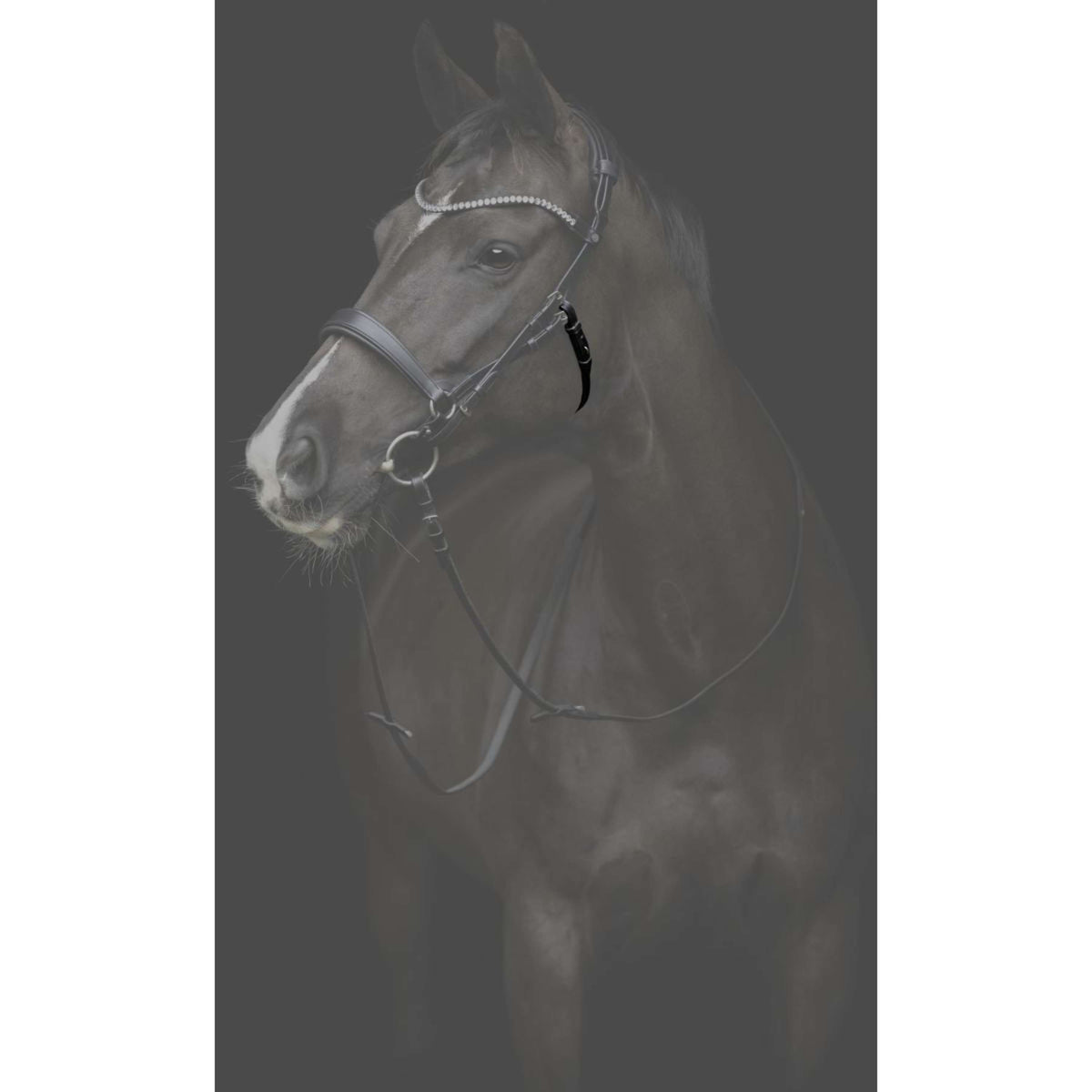 Catago Cinghia di gola Gentle