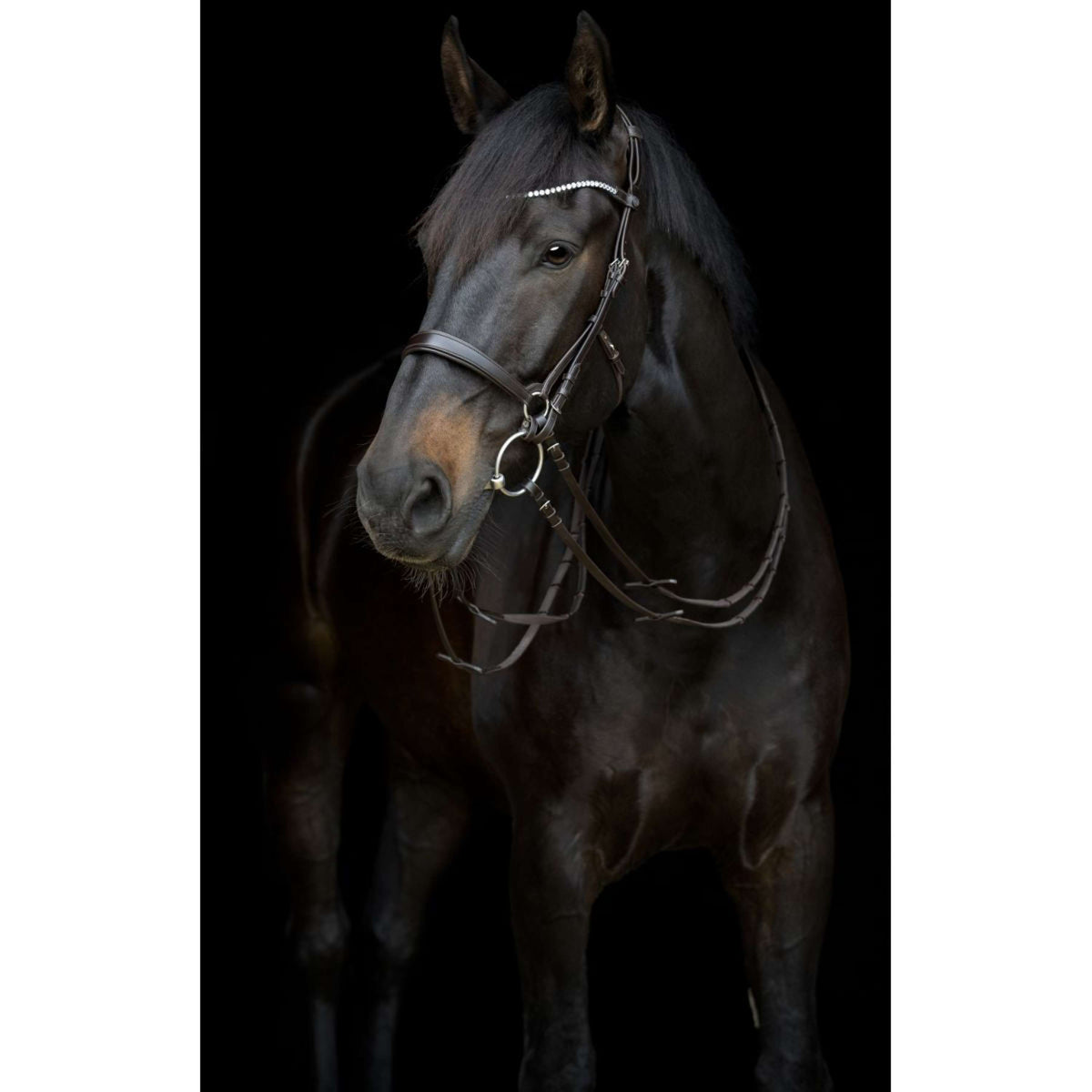 Catago Cinghia di gola Gentle