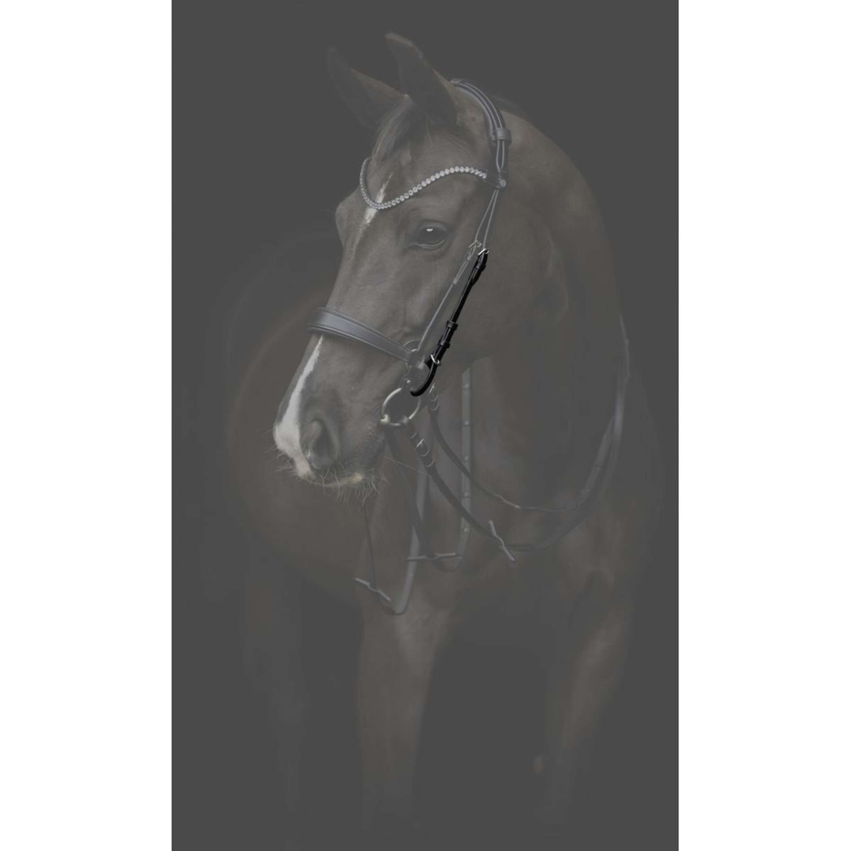 Catago Pezzi Guancia Gentle