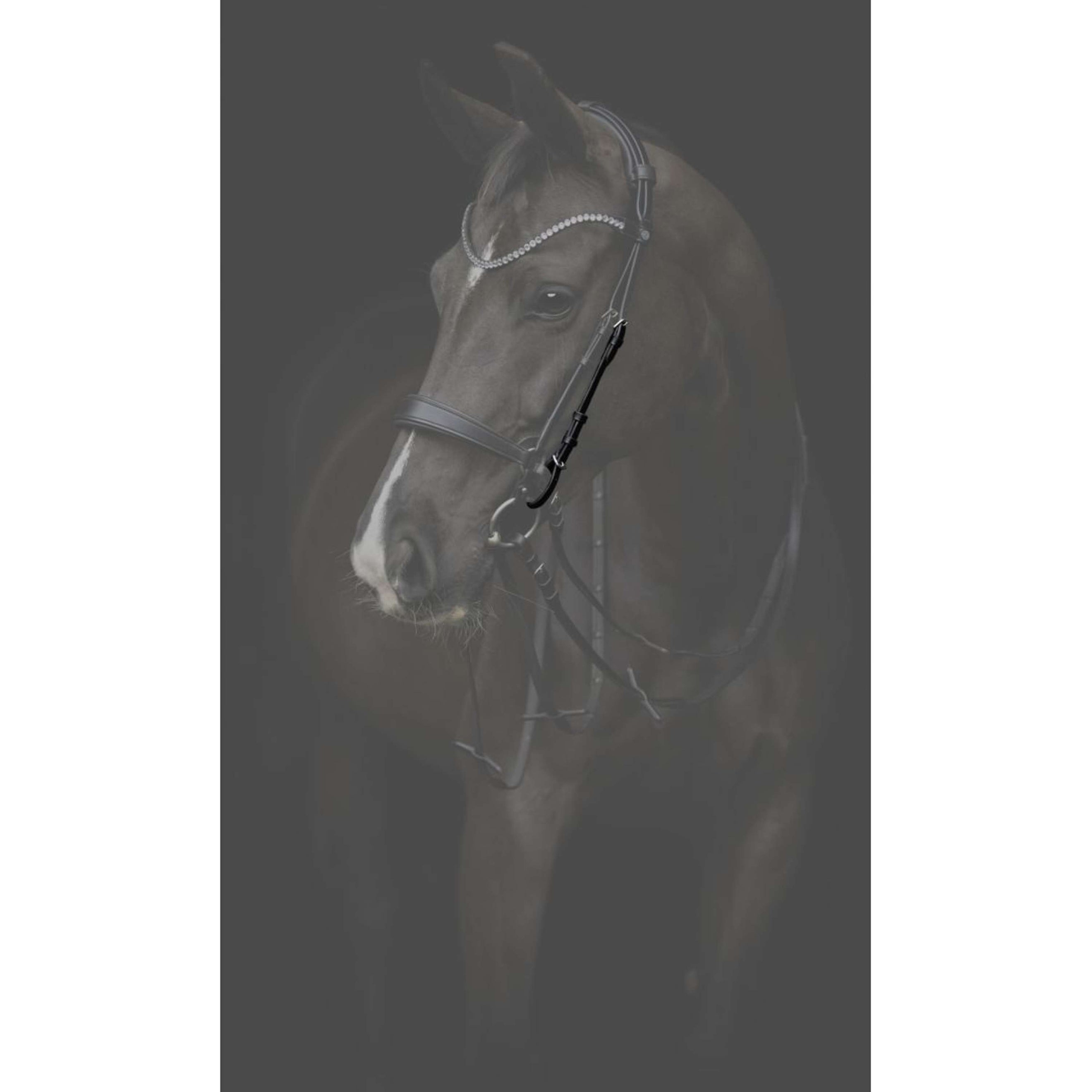 Catago Pezzi Guancia Gentle