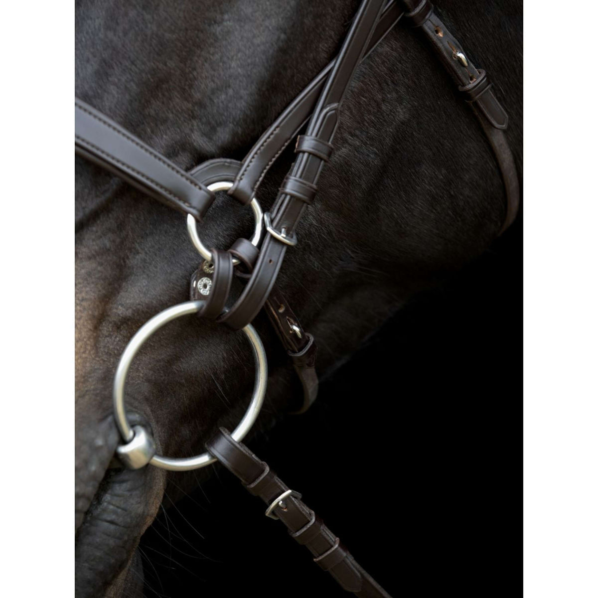 Catago Cinghia per Mento Gentle