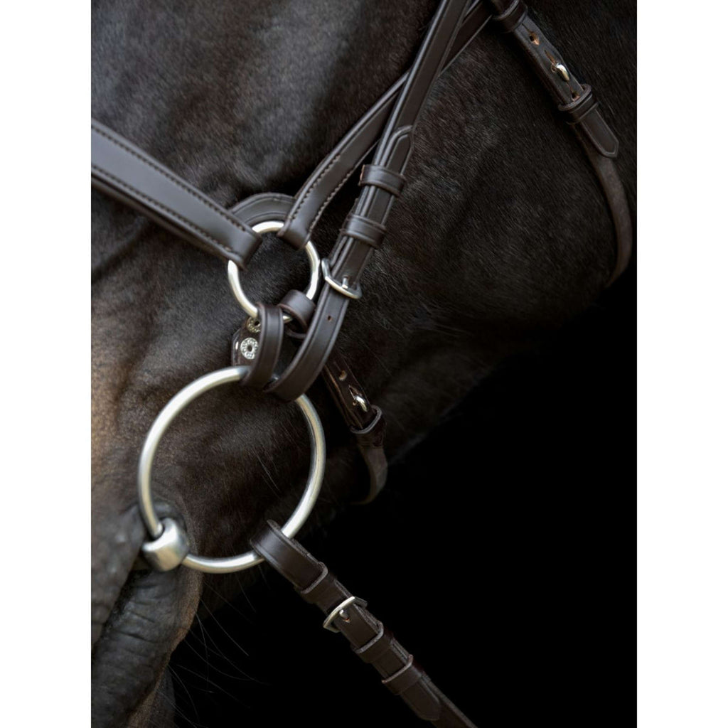Catago Connecting Rings Gentle Bruin