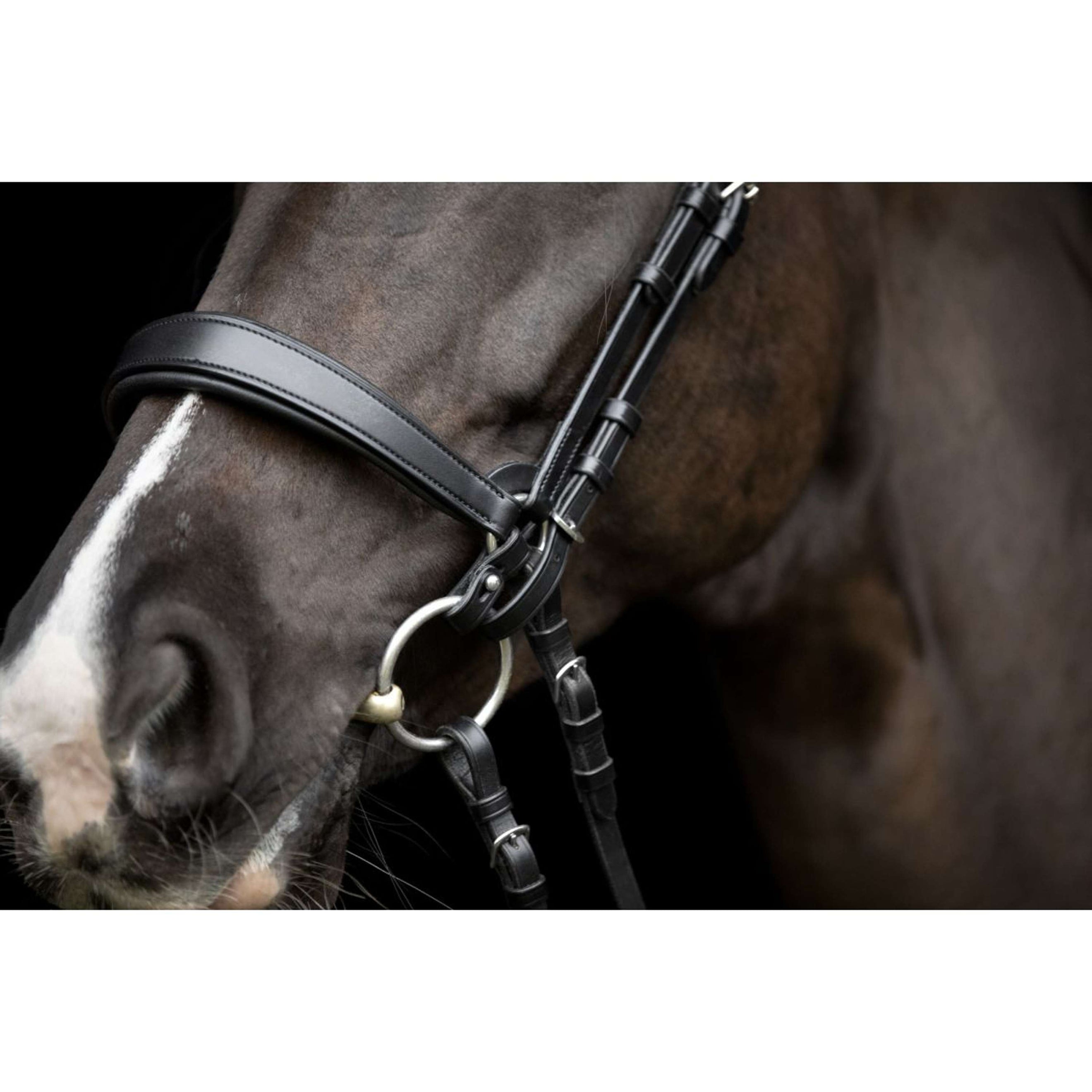 Catago Connecting Rings Gentle Nero