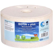Animalixs Pietra da Leccare Biotin Plus