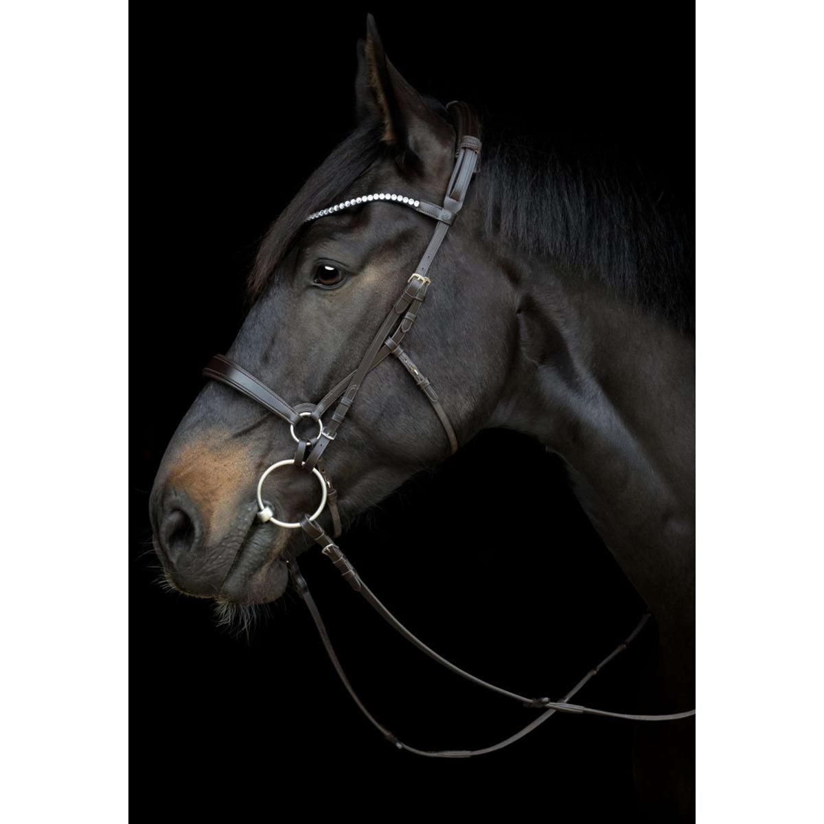 Catago Connecting Rings Gentle Nero