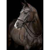 Catago Pezzo di Testa Gentle