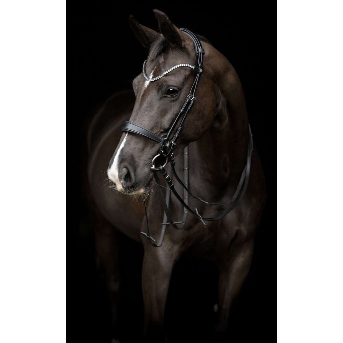 Catago Pezzi Guancia Gentle