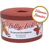 Animalixs Pietra da Leccare LollyLick Vitamin Booster Rosa canina