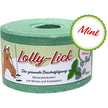 Animalixs Pietra da Leccare LollyLick Respiratory Munt/Eucalyptus