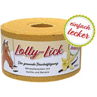 Animalixs Pietra da Leccare LollyLick Vanille/Banaan