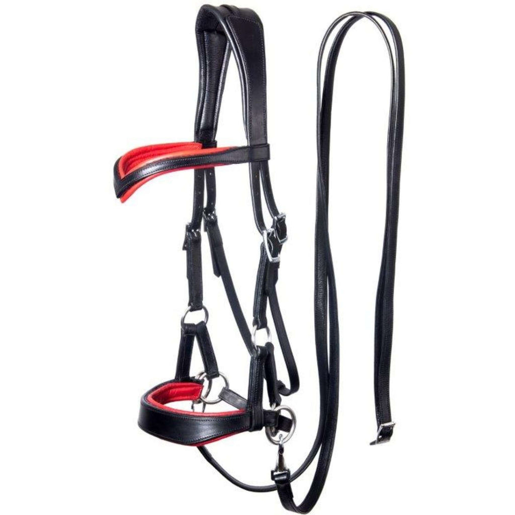 F.R.A. Briglia senza Morso Aruba Side Pull Marrone