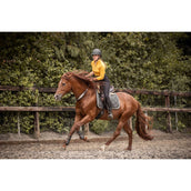 F.R.A. Redine di Equilibrio Whisper Marrone