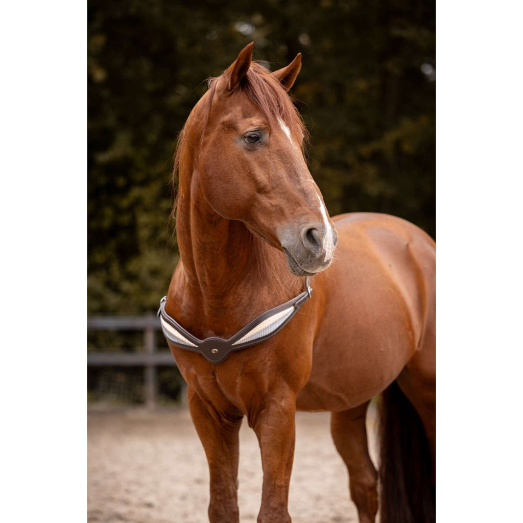 F.R.A. Redine di Equilibrio Whisper Marrone