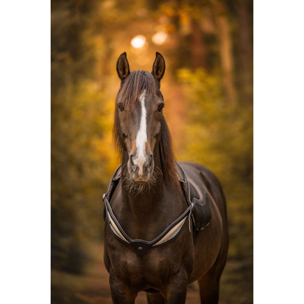 F.R.A. Redine di Equilibrio Whisper Nero
