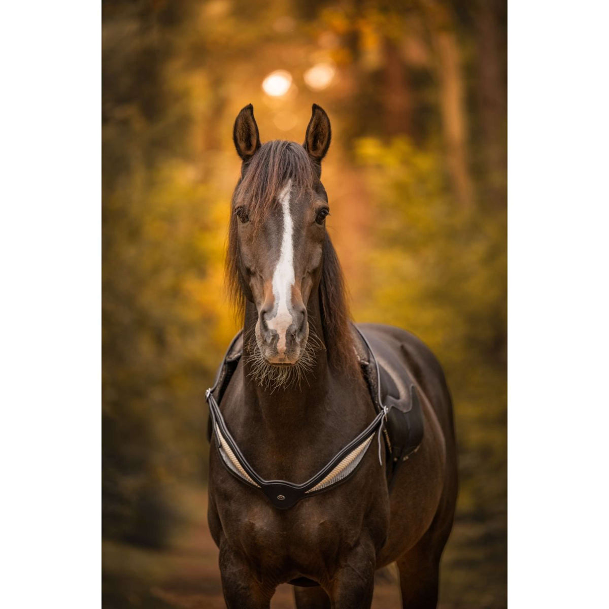 F.R.A. Redine di Equilibrio Whisper Nero