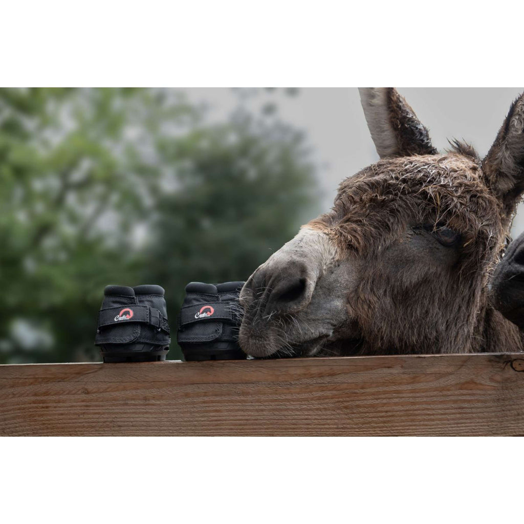 F.R.A. Cavallo Donkey/Long Ear Boot Nero