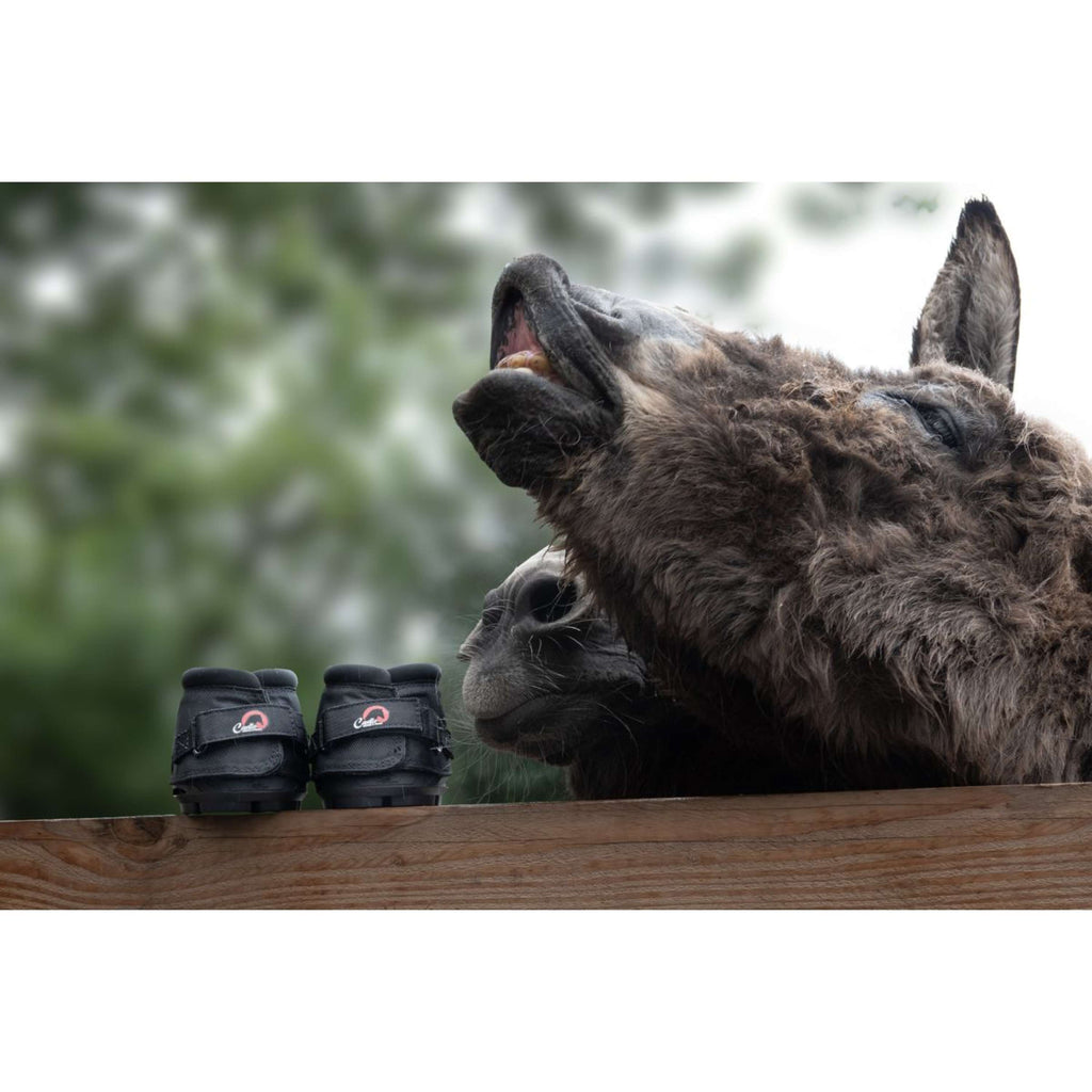 F.R.A. Cavallo Donkey/Long Ear Boot Nero