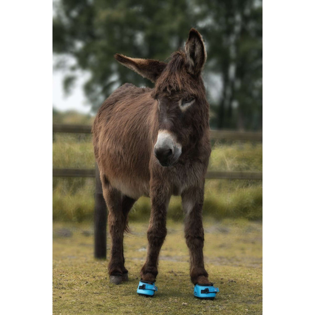 F.R.A. Cavallo Donkey/Long Ear Boot Turchese