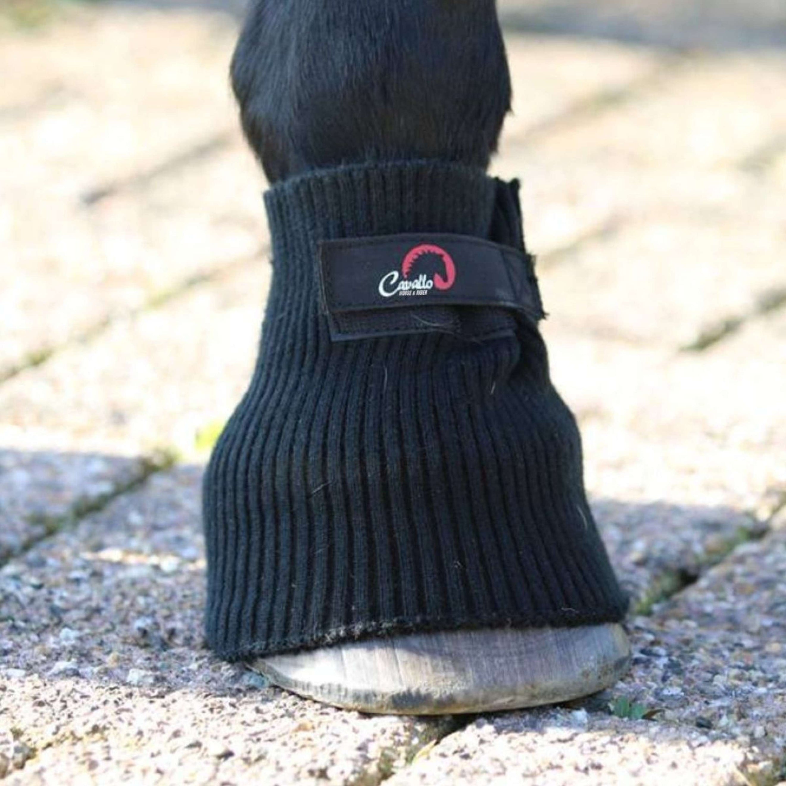 F.R.A. Cavallo Horse & Rider Manica confortevole Nero