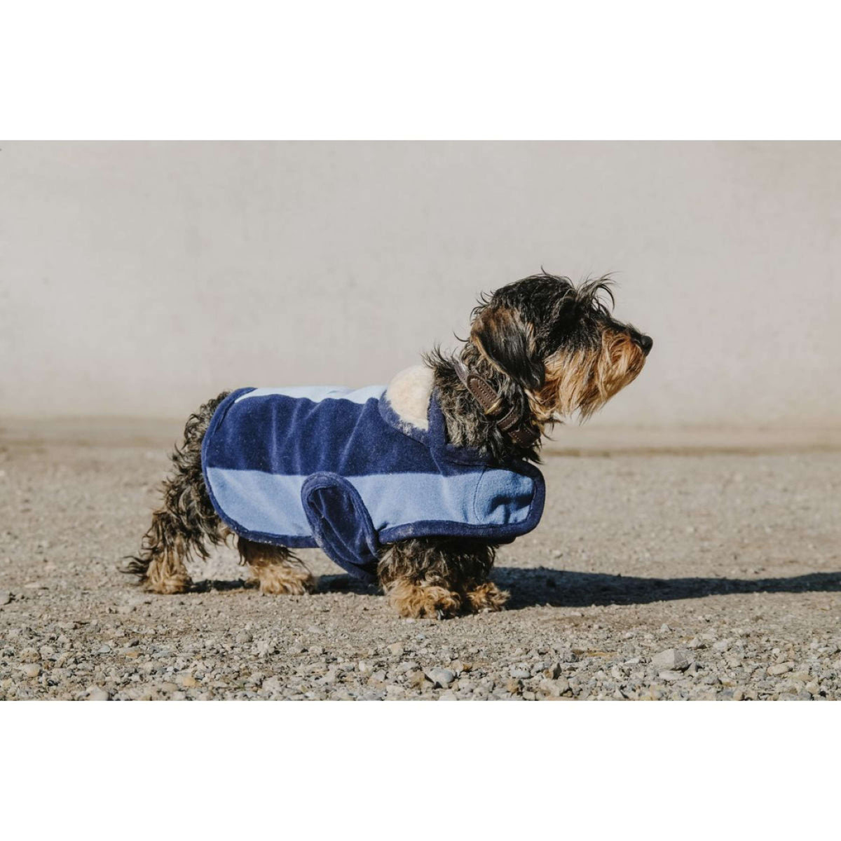 EQUITHÈME Coperta per Cani New Market Navy