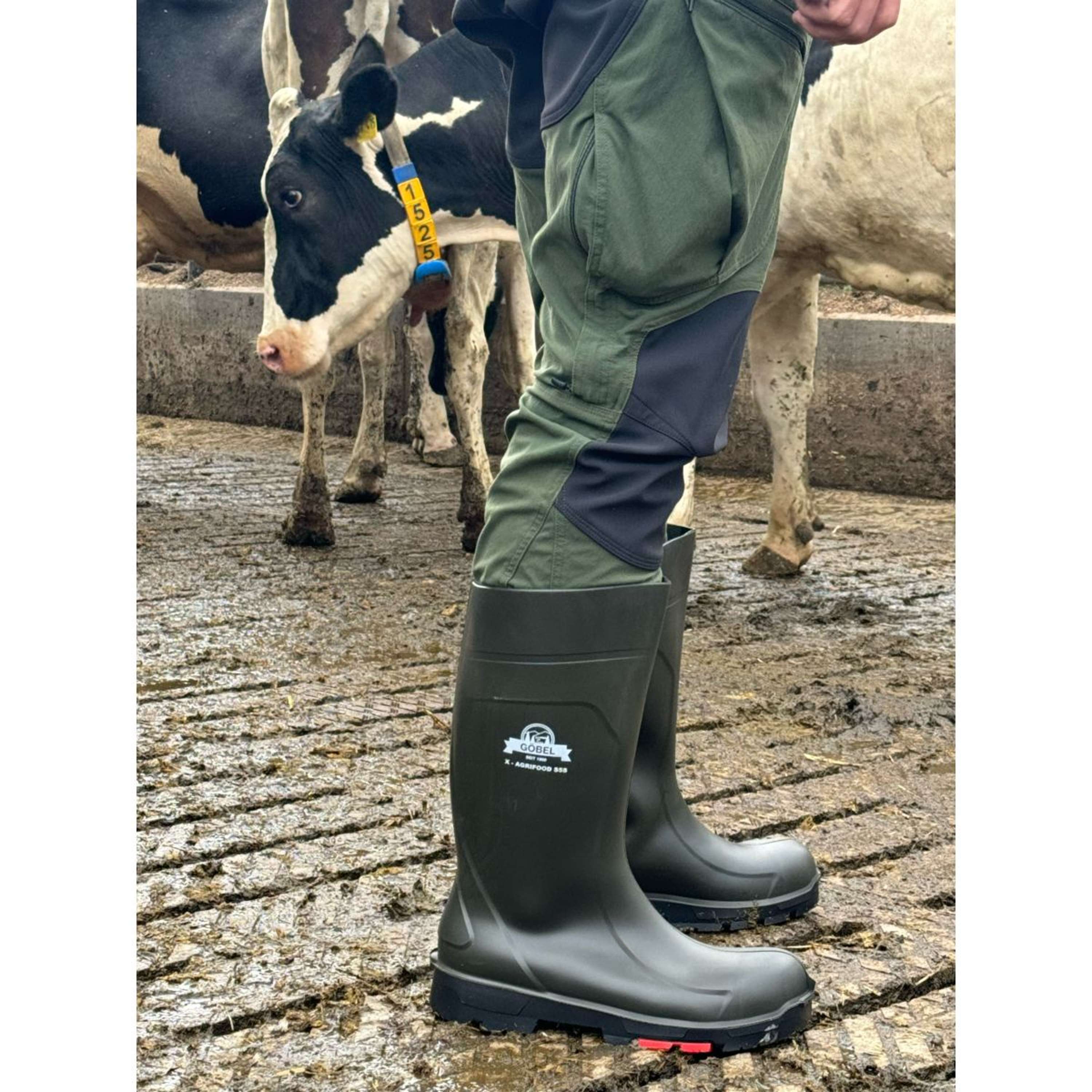 Göbel Stivali X-Agrifood S5