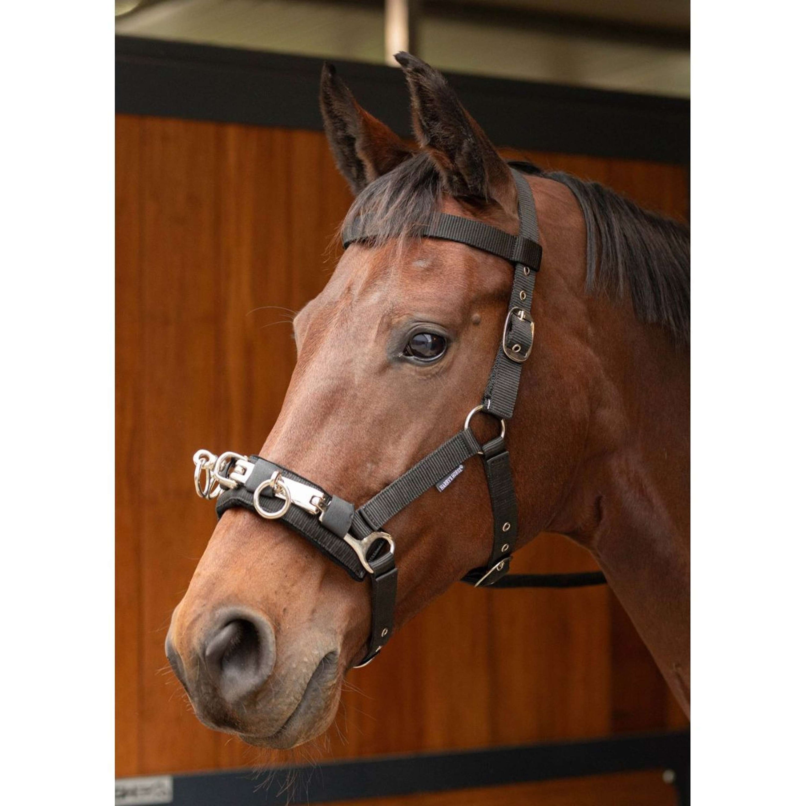 Harry's Horse Cavezzone Nero Harry's Horse Cavezzone Nero