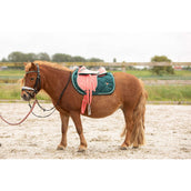 Harry's Horse Sella LouLou25 Porcelain/Rose